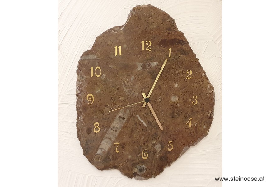 Uhr Fossilien Orthoceras & Ammoniten